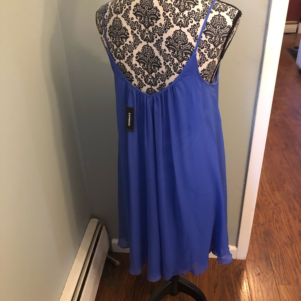Express Dress - Picture 3 of 6